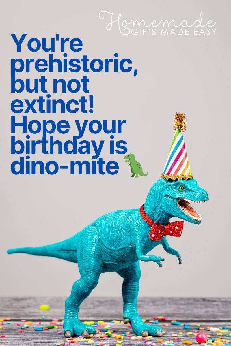 150 Best Funny Birthday Wishes Quotes Jokes U0026 Images