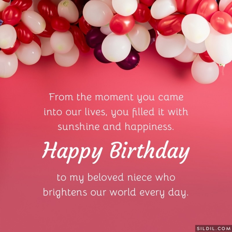 260 Happy Birthday Niece Wishes Messages U0026 Quotes 260 Happy Birthday Niece Wishes Messages U0026 Quotes