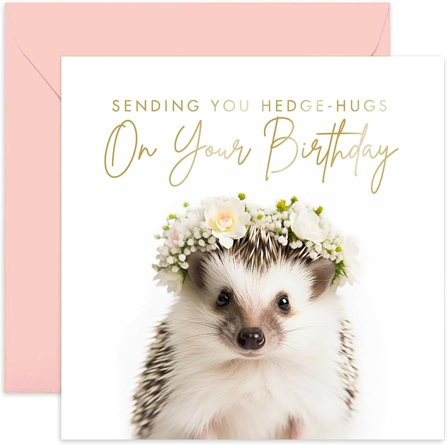 Amazon Old English Co Cute Hedgehog Birthday Card For Her Amazon Old English Co Cute Hedgehog Birthday Card For Her