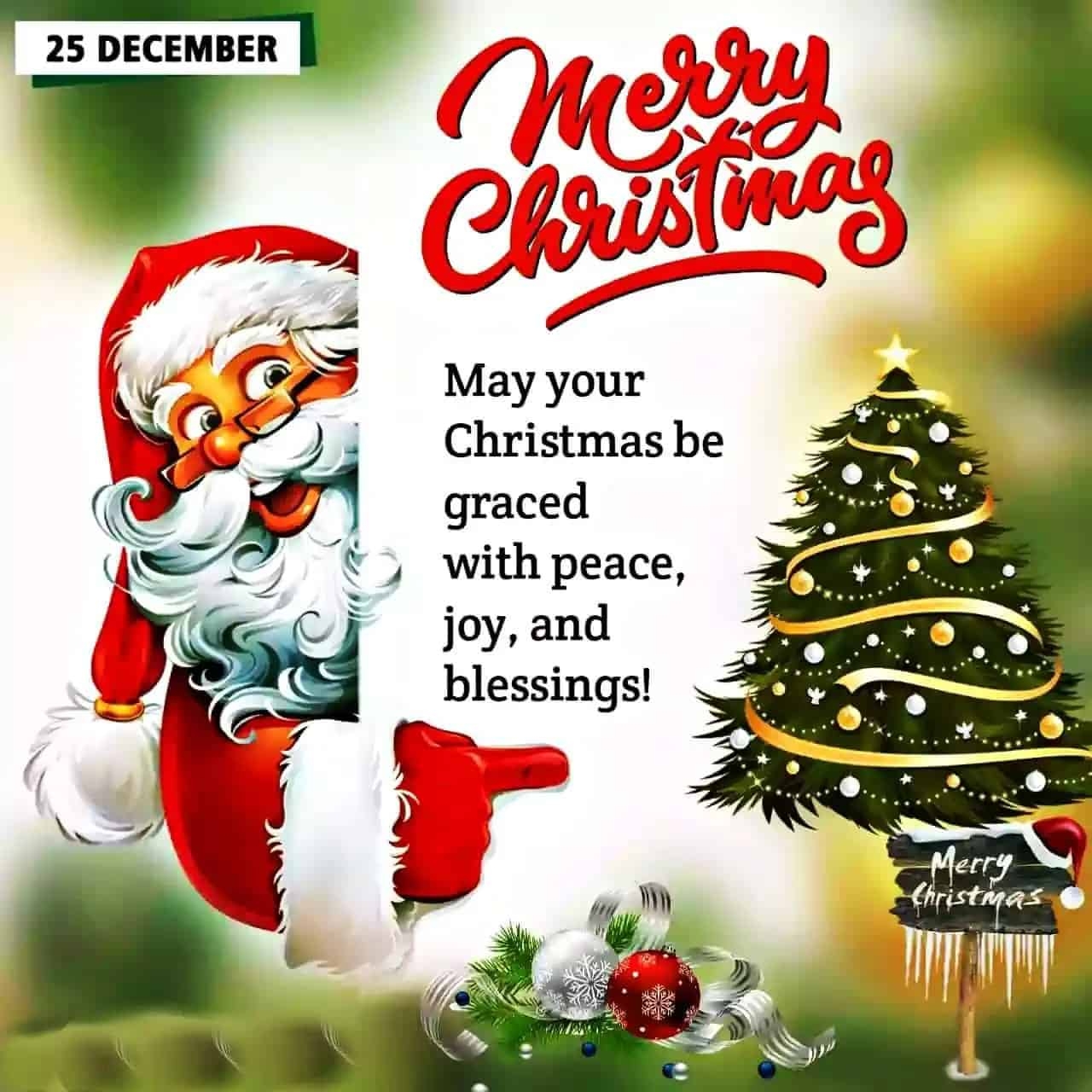 Best Collections Of Merry Christmas Messages For All 2023 Best Collections Of Merry Christmas Messages For All 2023
