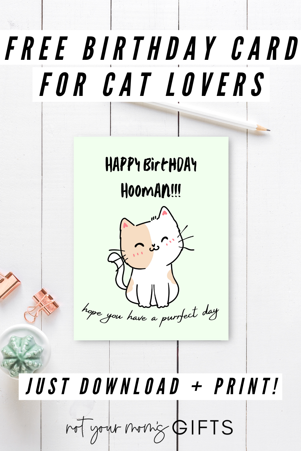 Free Birthday Card For Cat Lovers Not Your Mom s Gifts Free Birthday Card For Cat Lovers Not Your Mom s Gifts