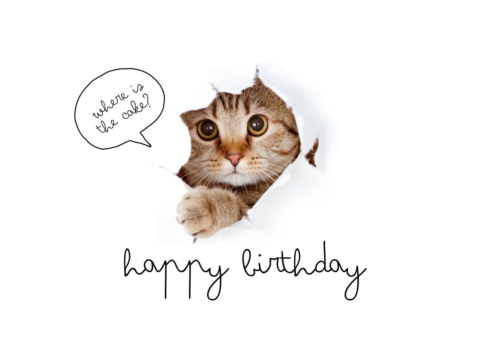 Printable Cat Birthday Cards