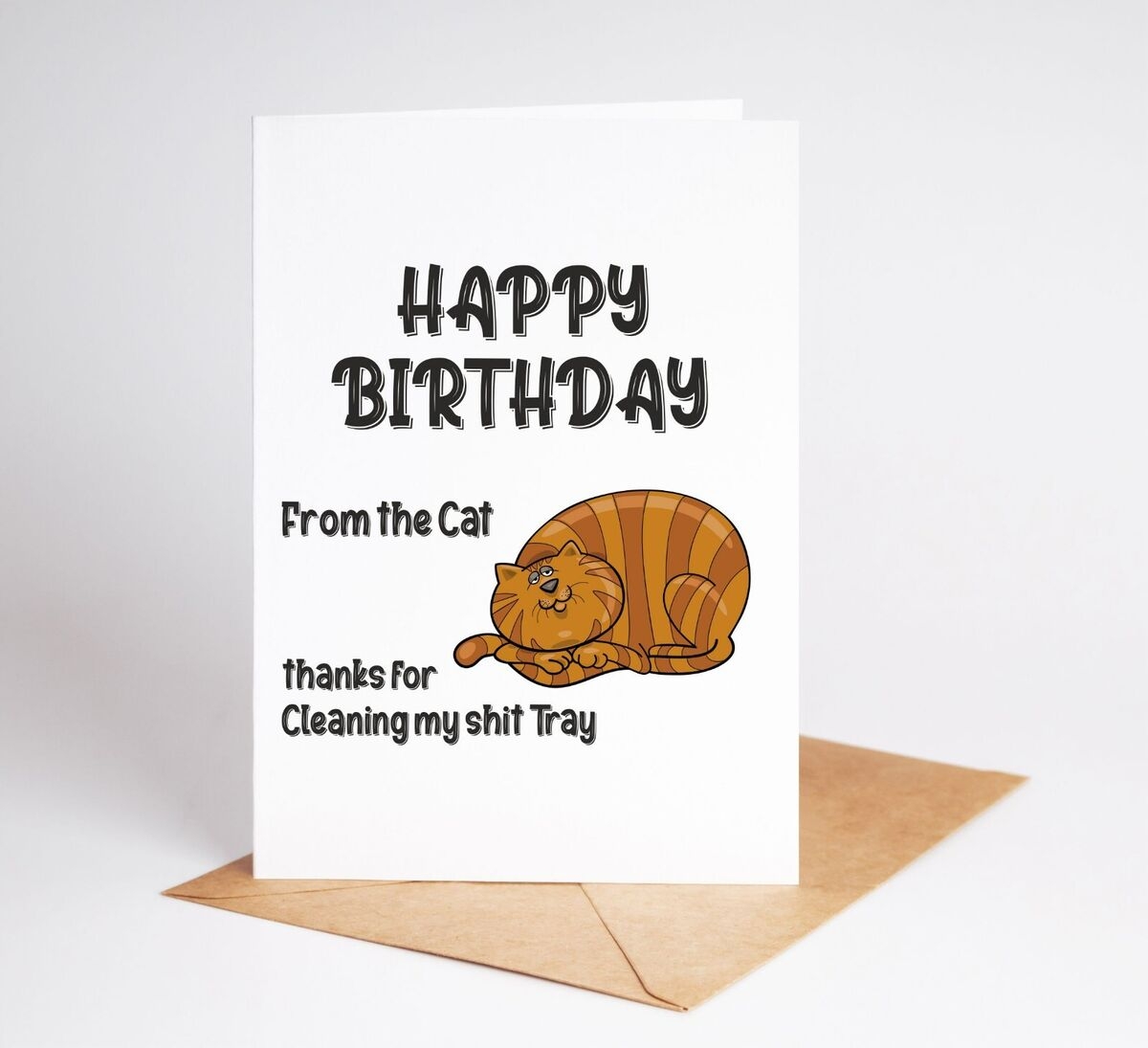 Funny Birthday Card From The Cat Thanks For Picking Up Sh t Rude Card BC178 EBay