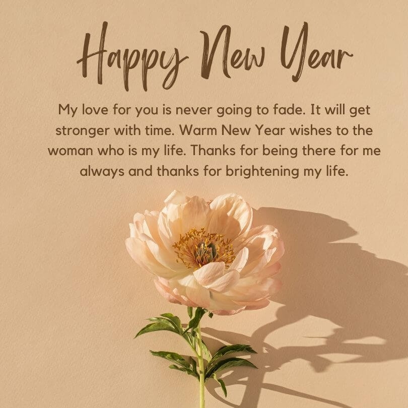Special Friend Heart Touching New Year Wishes For Best Friend New Year Wishes For Friendship 2024 Quotes Messages Images