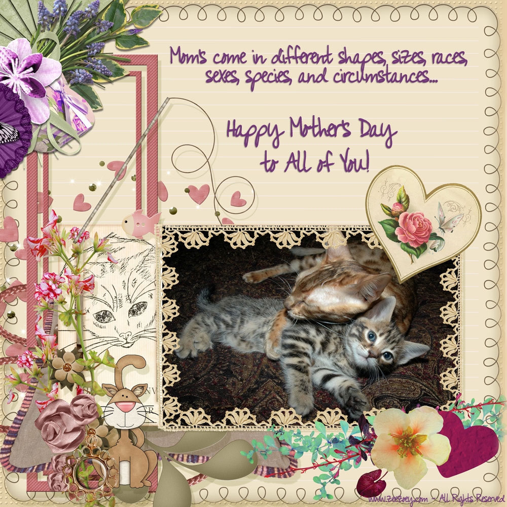 The Meowiest Of Mother s Day Wishes Zee U0026 Zoey s Cat Chronicles The Meowiest Of Mother s Day Wishes Zee U0026 Zoey s Cat Chronicles