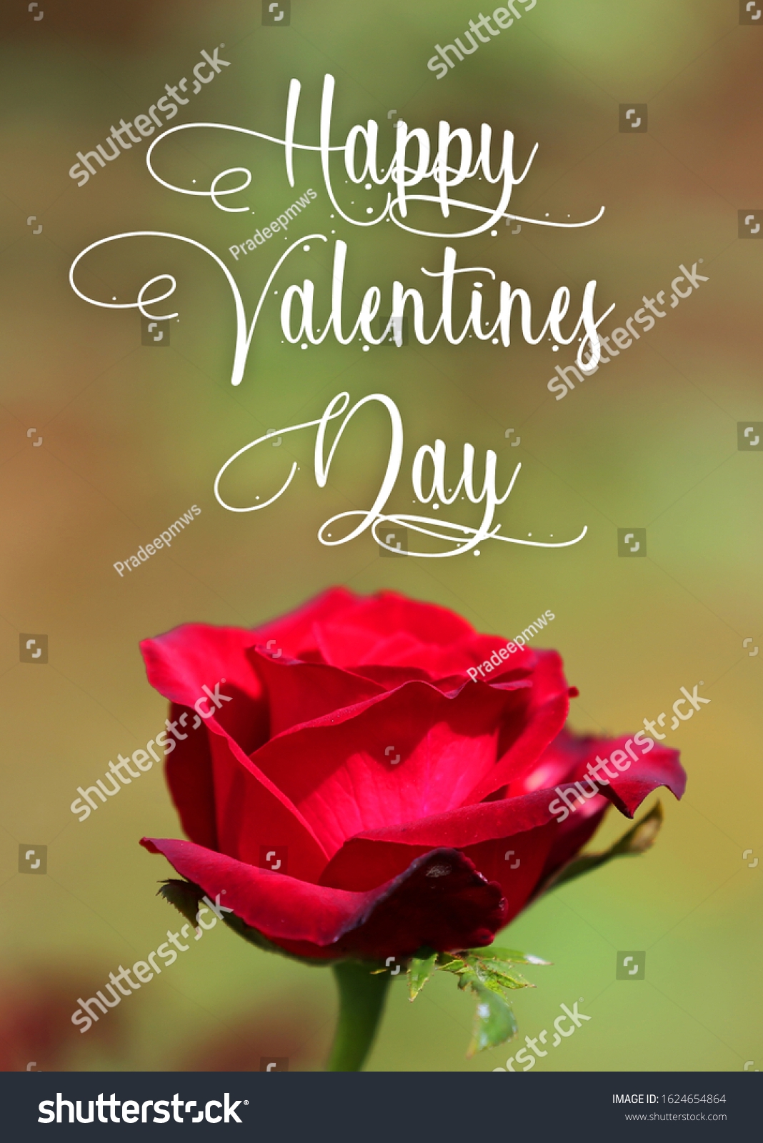 Valentine Day Wishes Everyone Stock Photo 1624654864 Shutterstock Valentine Day Wishes Everyone Stock Photo 1624654864 Shutterstock